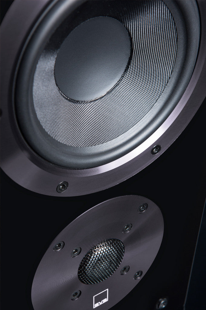 Surround Speaker in Piano Gloss Black